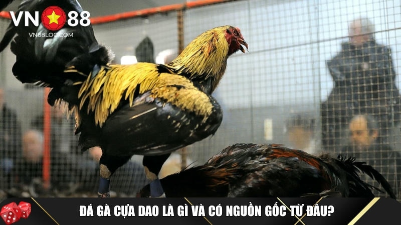 Đá Gà Cựa Dao VN88: Bí Quyết Chiến Thắng 99% Từ Các Kê Thủ Giỏi 1 Khám phá tổng quan về tựa game đá gà cựa dao