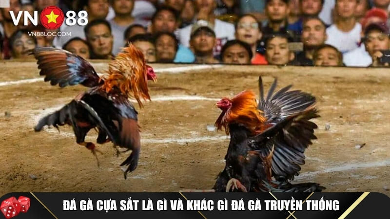 Đá Gà Cựa Sắt Là Gì? Luật Chơi Và Mẹo Cược Chi Tiết Tại VN88 1 Khám phá tổng quan về đá gà cựa sắt tại VN88