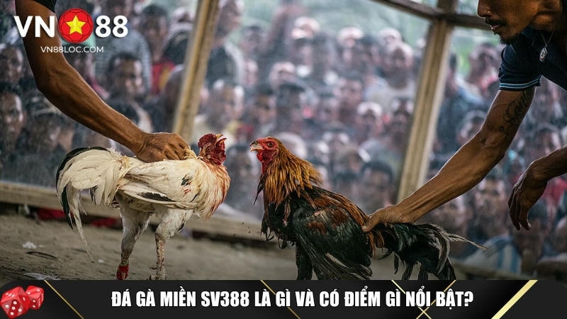 Đá Gà Miền Sv388 Là Gì? Luật Chơi, Cách Cược Và Lợi Ích Tại VN88 1 Tìm hiểu tổng quan về đá gà miền Sv388