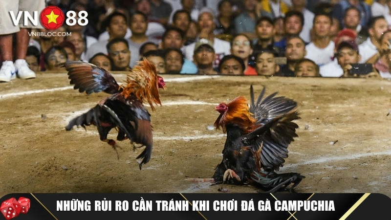 Đá Gà Campuchia Là Gì? Luật Chơi Và Cách Cược An Toàn Tại VN88 6 Các lưu ý bạn cần biết để tránh các rủi ro không đáng có