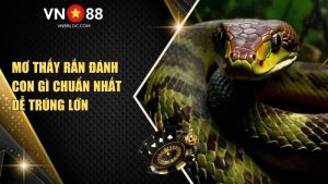 Mơ thấy rắn đánh con gì chuẩn nhất dễ trúng lớn
